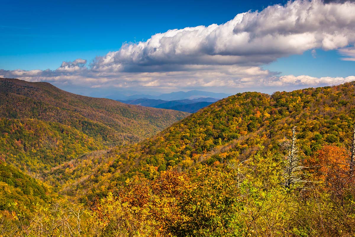 Vannoy Properties Real Estate in Ashe County